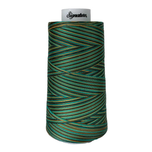 F251 Atlantis Signature Cotton Variegated Thread - Choice FabricsSIGV-F251