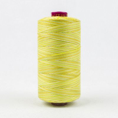 Fruitti 12wt Variegated 100m Spool