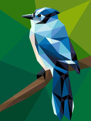 Blue Jay Mini Pattern (CONFETTI) - Choice FabricsPT063C