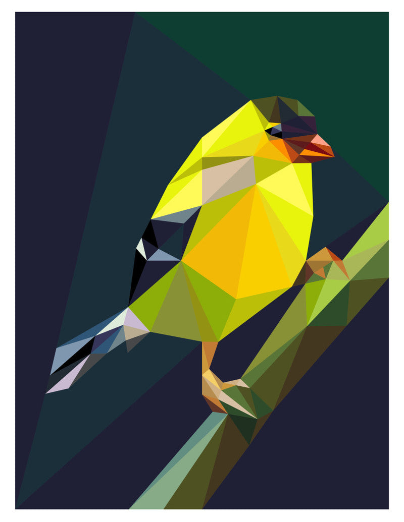 Lil Chip Pattern (KONA)